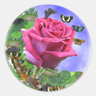 Sticker Rond Rose et papillons de rose
