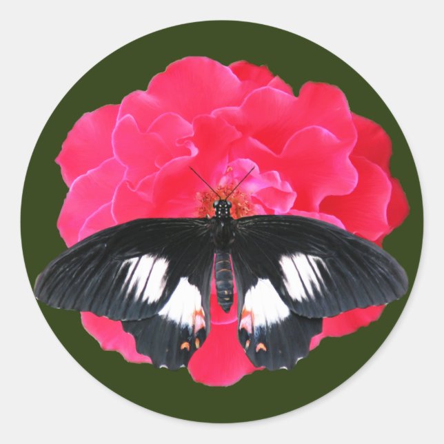 Sticker Rond Rose et Swallowtail (Devant)