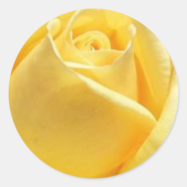 Sticker Rond Rose jaune (Devant)