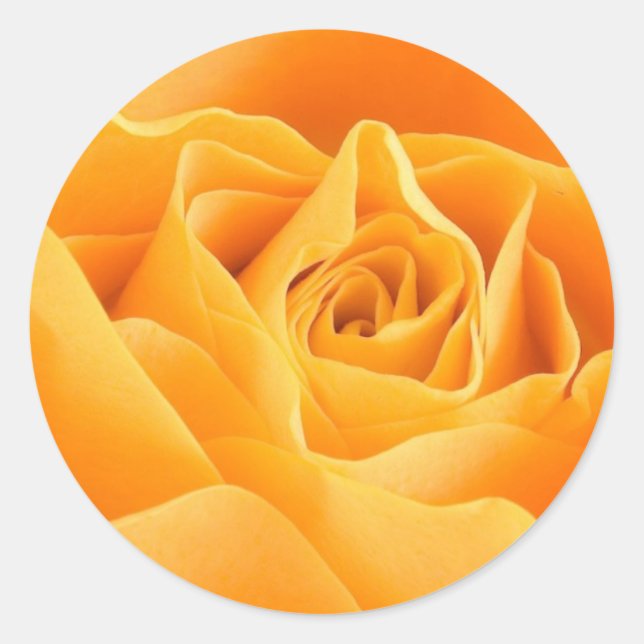 Sticker Rond Rose jaune (Devant)