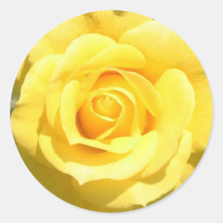 Sticker Rond Rose jaune