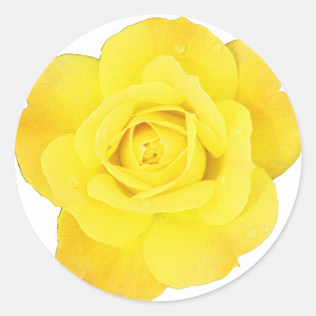 Sticker Rond Rose jaune Choisir Arrière - plan Couleur Blank Fl (Devant)