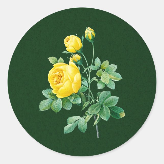 Sticker Rond Rose jaune et rose (Devant)
