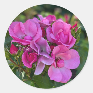 Sticker Rond Rose Lavande Rose