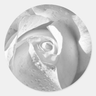 Sticker Rond Rose marié blanc romantique