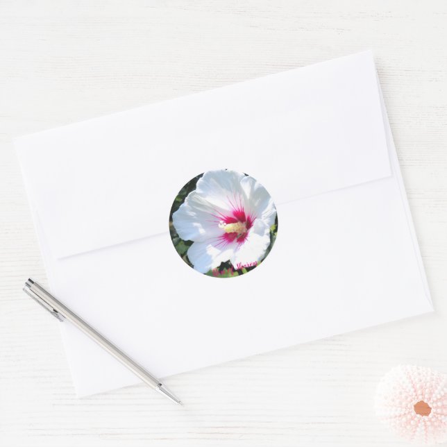 Sticker Rond Rose of Sharon [Round Seal] (Enveloppe)