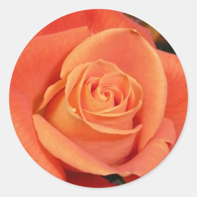 Sticker Rond Rose orange (Devant)