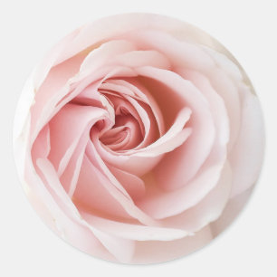 Sticker Rond Rose Pâle & Bois Blanc Mariage Champêtre Shower de