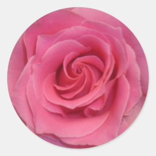 Sticker Rond Rose parfaite