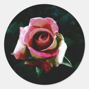 Sticker Rond Rose Peinte à l'Huile