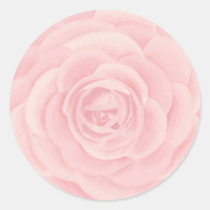 Sticker Rond Rose Pink Watercolor