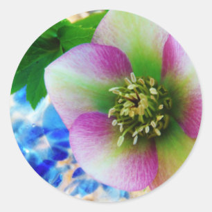 Sticker Rond Rose rose carême bleu boule de verre