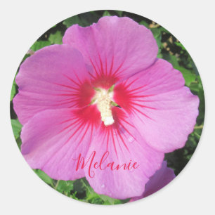 Sticker Rond Rose rose de Sharon Waterdrops Pétales Personnalis