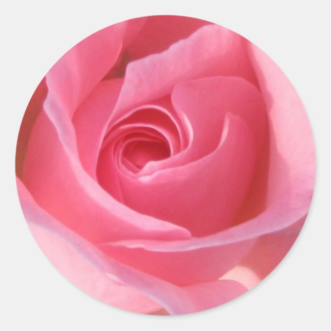 Sticker Rond Rose rose simple (Devant)