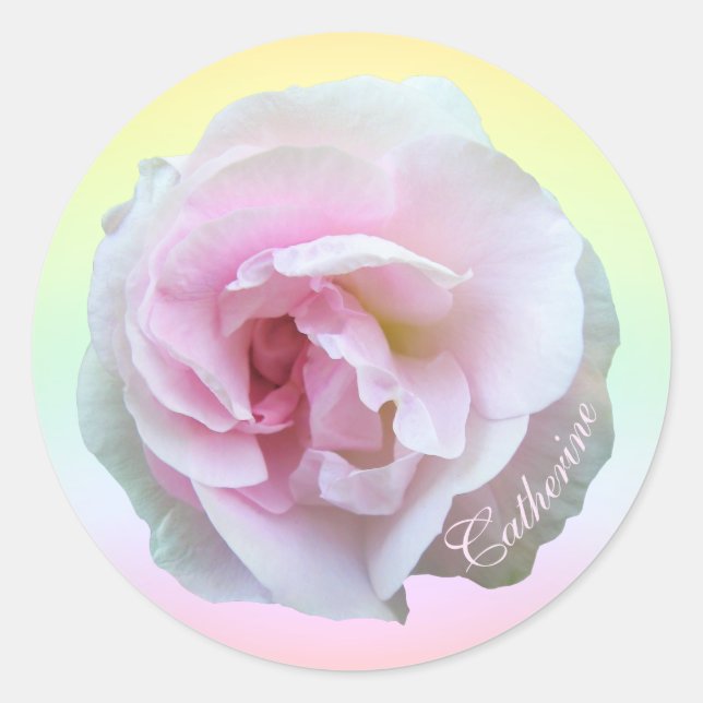Sticker Rond Rose rose sur Pastel Personnalisé (Devant)