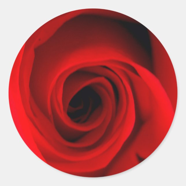 Sticker Rond Rose rouge (Devant)