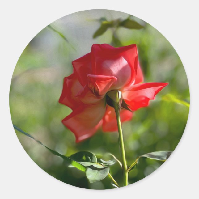 Sticker Rond Rose rouge (Devant)