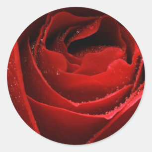 Sticker Rond Rose rouge