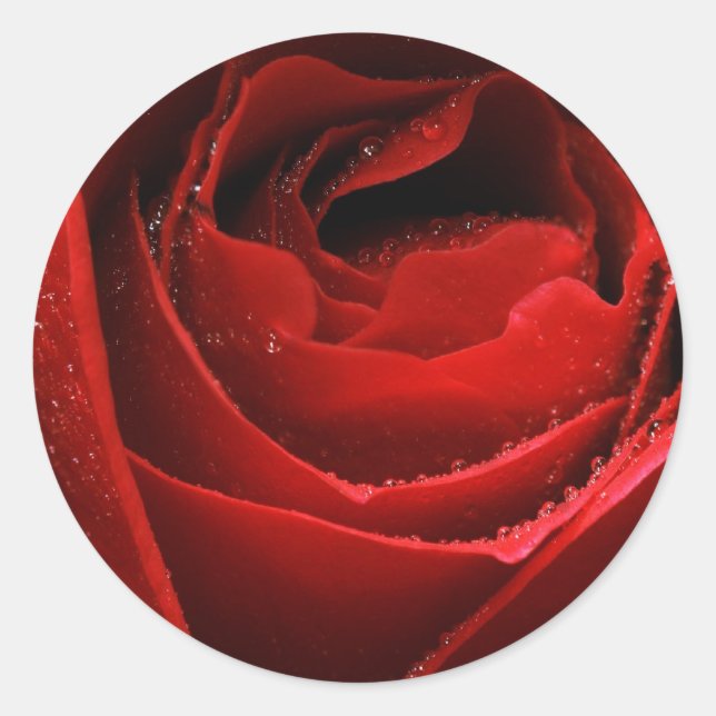 Sticker Rond Rose rouge (Devant)