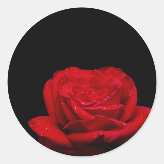 Sticker Rond Rose rouge (Devant)