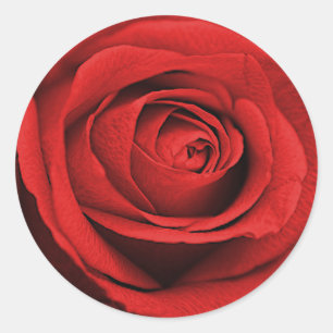 Sticker Rond Rose rouge blanc (n'importe quelle couleur) Mariag