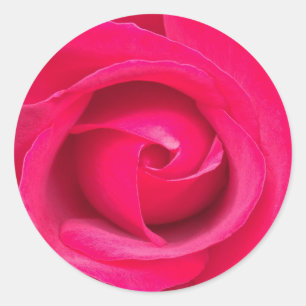 Sticker Rond Rose rouge romantique