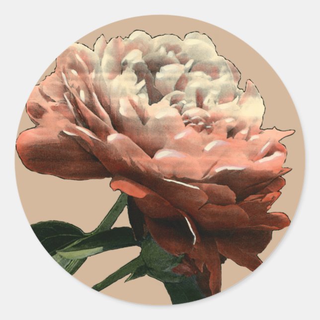 Sticker Rond Rose rouge rubis aux accents blancs (Devant)