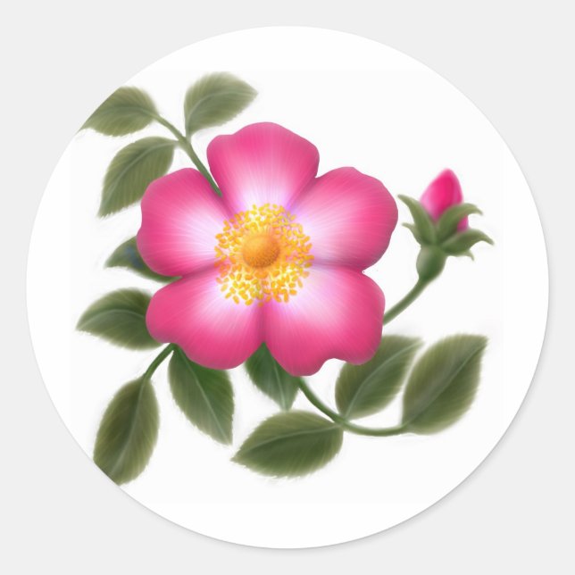 Sticker Rond Rose sauvage romantique (Devant)