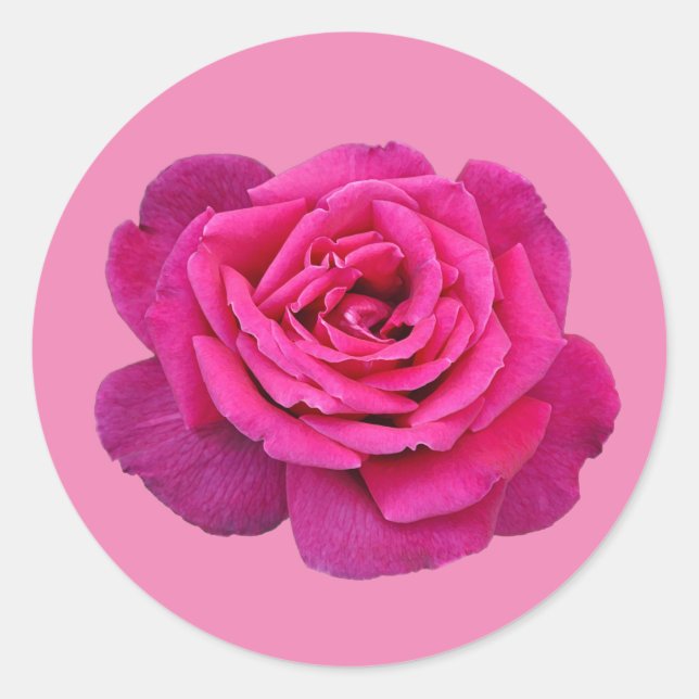 Sticker Rond Rose unique rose (Devant)