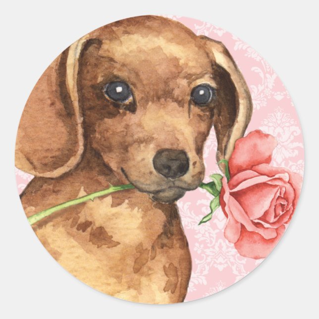 Sticker Rond Rose Valentin Dachshund (Devant)
