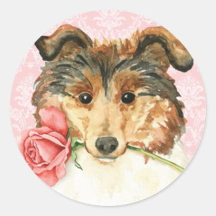 Sticker Rond Rose Valentine Collie