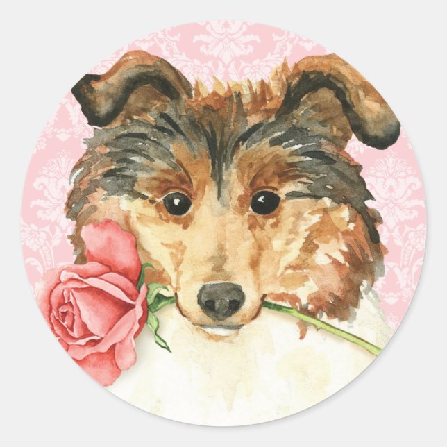 Sticker Rond Rose Valentine Collie (Devant)