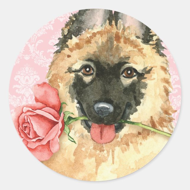 Sticker Rond Rose Valentine Tervuren (Devant)