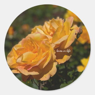 Sticker Rond Roses jaunes