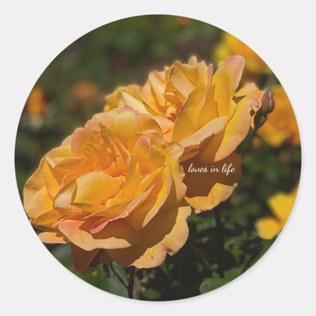 Sticker Rond Roses jaunes  (Devant)