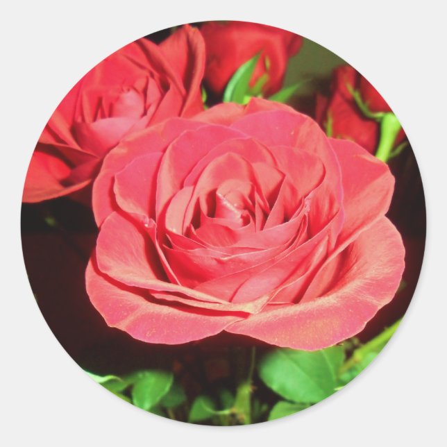 Sticker Rond Roses rouges (Devant)
