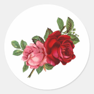 Sticker Rond Roses rouges roses élégantes vintage