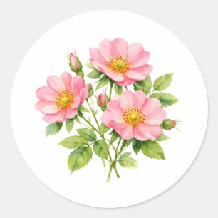 Sticker Rond Roses sauvages aquarelles roses pâles