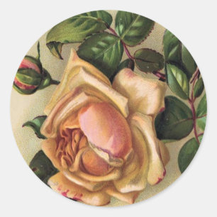 Sticker Rond Roses* vintage *Beautiful