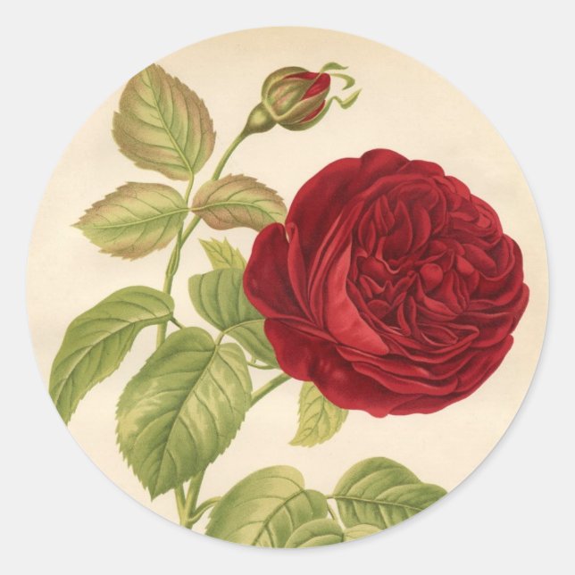 Sticker Rond Roses vintages (Devant)