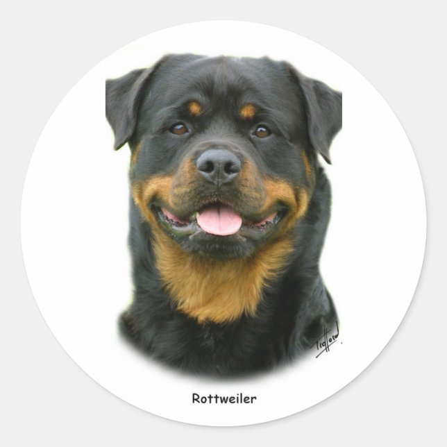 Sticker Rond Rottweiler (Devant)