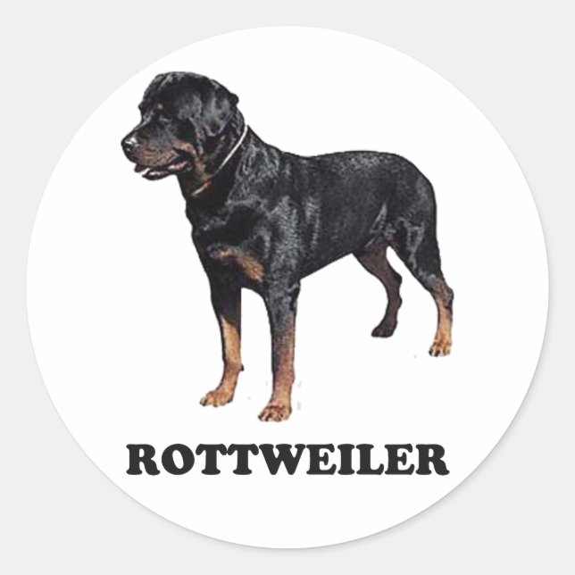 Sticker Rond Rottweiler (Devant)