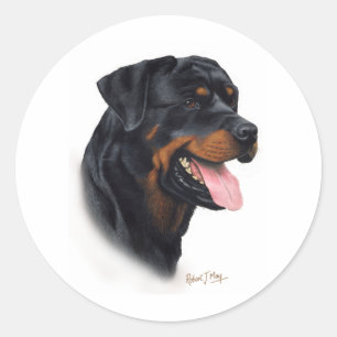 Sticker Rond Rottweiler
