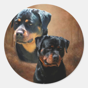 Sticker Rond Rottweiler