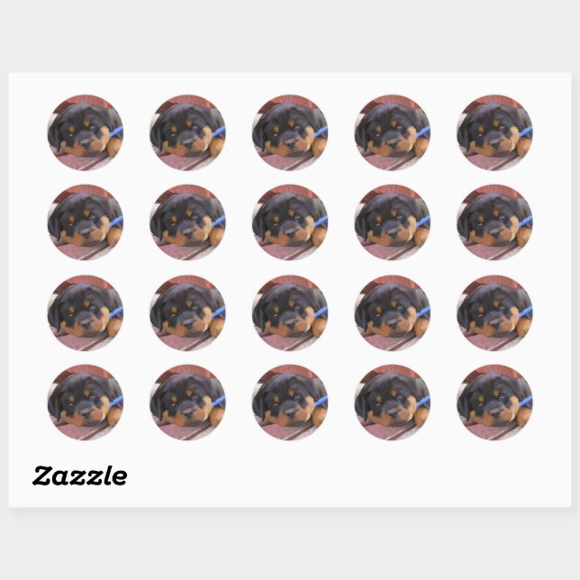 Sticker Rond Rottweiler Puppy (Feuille)