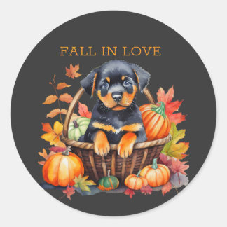 Sticker Rond Rottweiler tombe amoureux