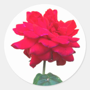 Sticker Rond Rouge