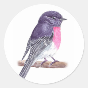 Sticker Rond Rouge-gorge rosé