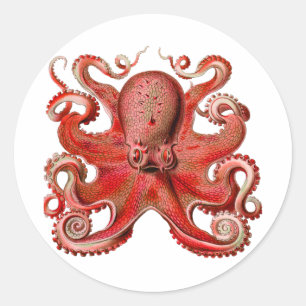 Sticker Rond Rouge octopique de Haeckel