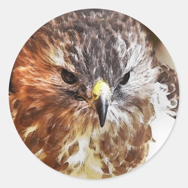 STICKER ROND ROUGE TAILLÉ HAWK (Devant)